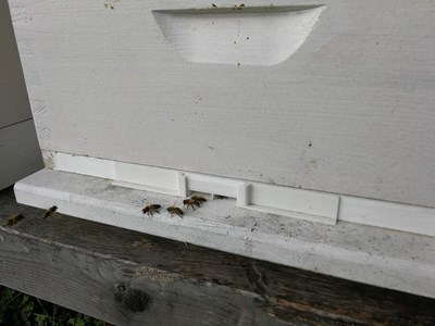 Bee corridor